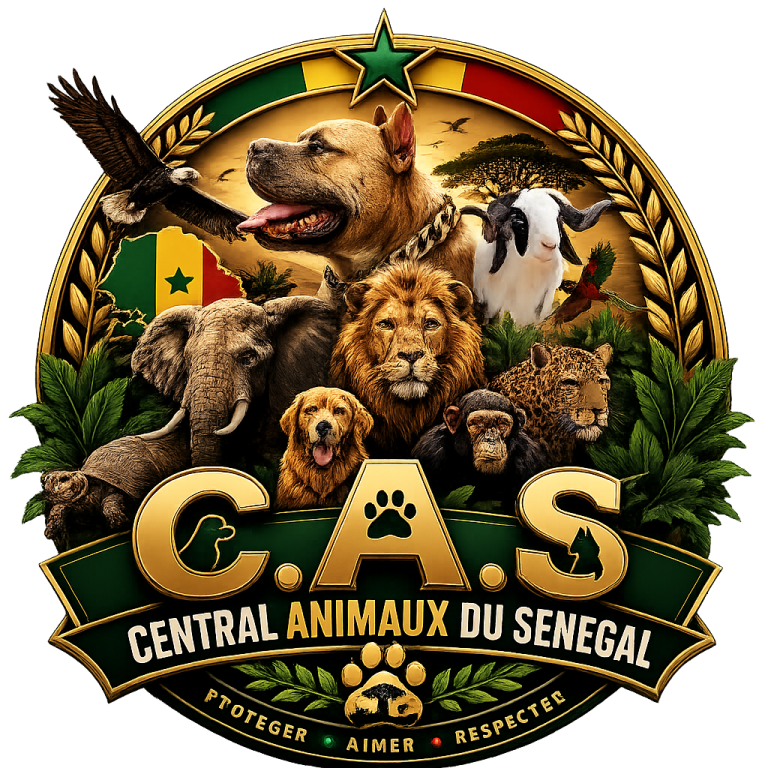 Biggest Pedigree Dog Show Ever