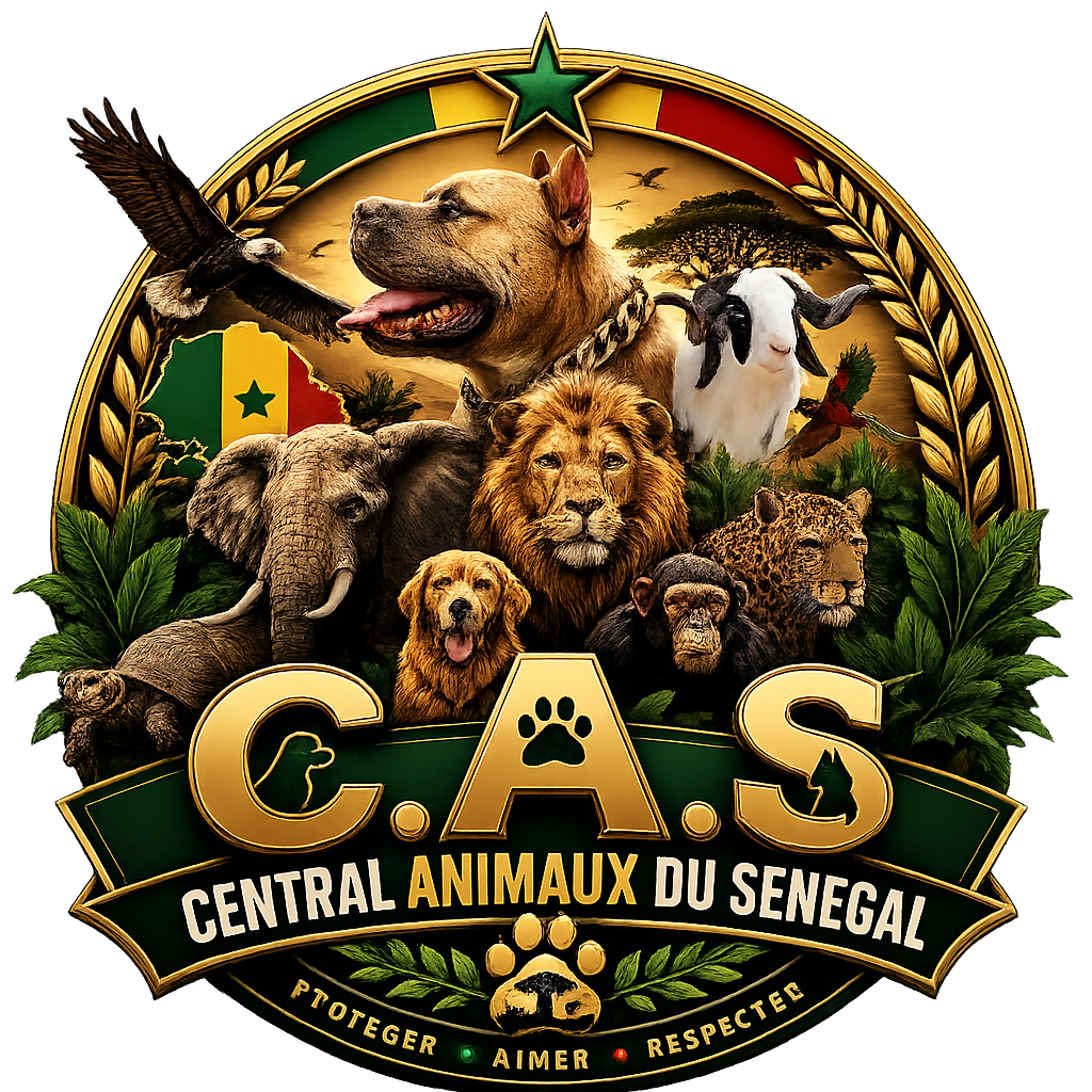 Logo CAS