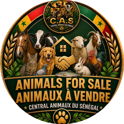 Animaux a vendre
